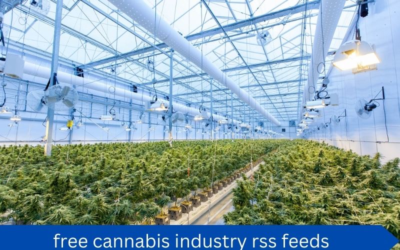 Read more about the article Harness AI to Curate the Best Free Cannabis Industry RSS Feeds