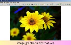 "A comparison of various image capture tools and their features, including Snagit, Lightshot, Greenshot, ShareX, PicPick, Nimbus Capture, Fireshot, and Awesome Screenshot."