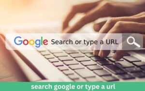 Read more about the article Google Search vs. Typing a URL: AI Deep Dive